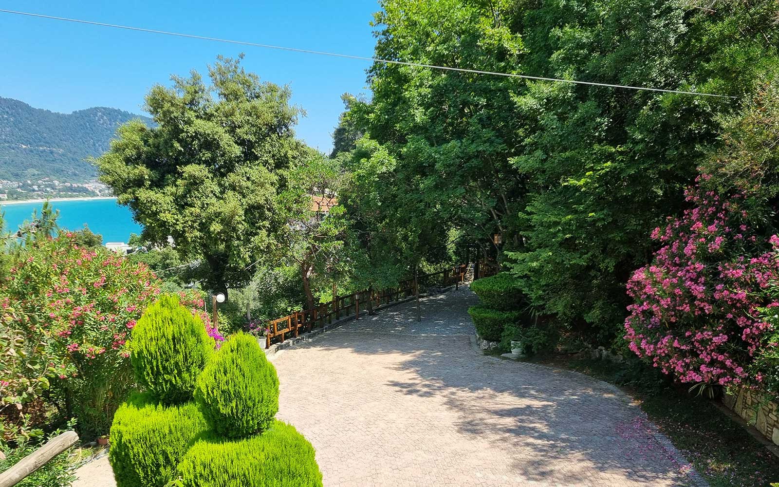 Ο κήπος στο Villa Dimitra στη Θάσο