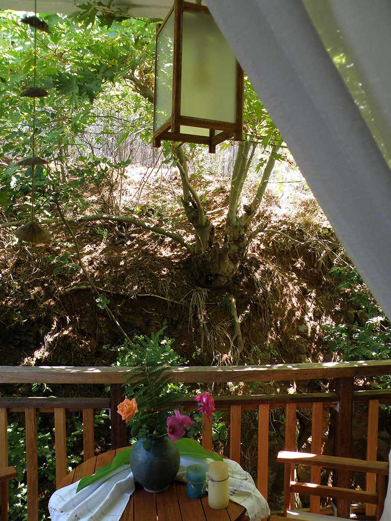 Deluxe double studio 9