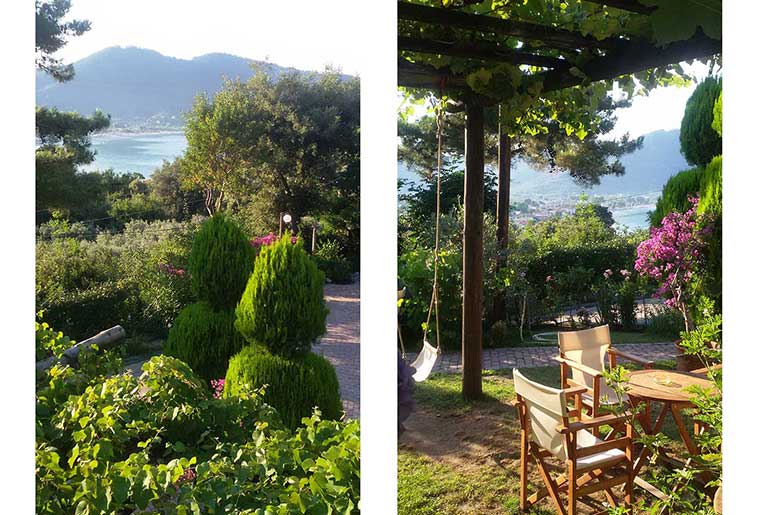 Πλούσια βλάστηση στους εξωτερικούς χώρους του Villa Dimitra