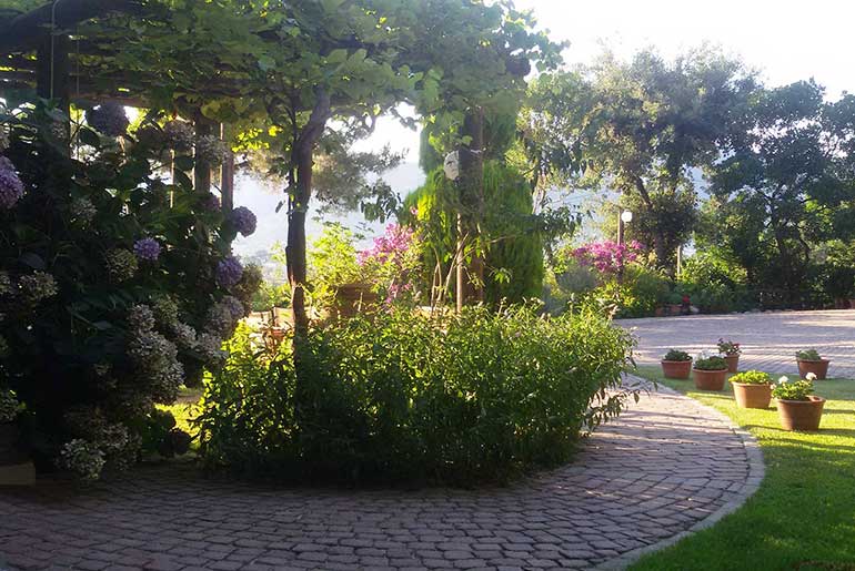 Εξωτερικοί χώροι και πέτρινοι διάδρομοι